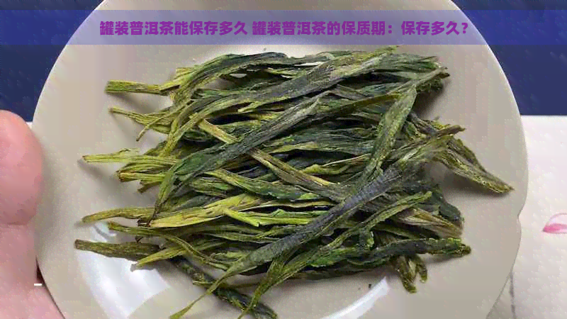 罐装普洱茶能保存多久 罐装普洱茶的保质期：保存多久？