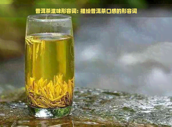 普洱茶滋味形容词: 描绘普洱茶口感的形容词