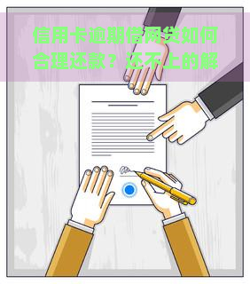 信用卡逾期借网贷如何合理还款？还不上的解决方案