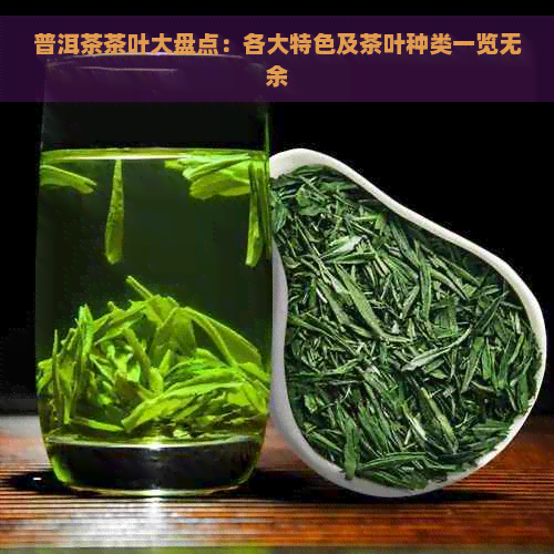 普洱茶茶叶大盘点：各大特色及茶叶种类一览无余