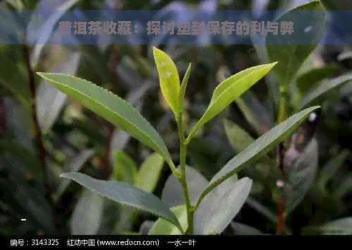 普洱茶收藏：探讨塑封保存的利与弊