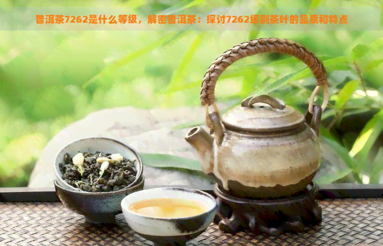 普洱茶7262是什么等级，解密普洱茶：探讨7262级别茶叶的品质和特点