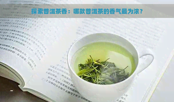 探索普洱茶香：哪款普洱茶的香气最为浓？