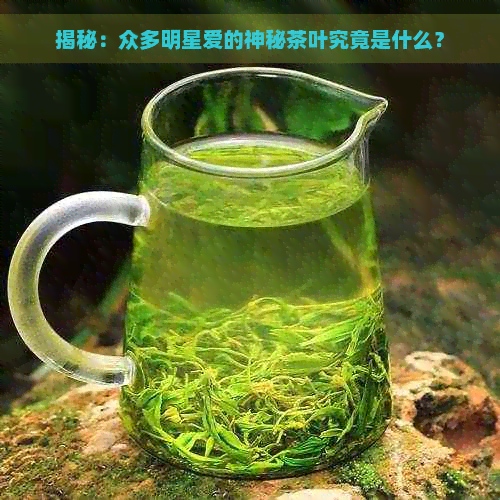 揭秘：众多明星爱的神秘茶叶究竟是什么？