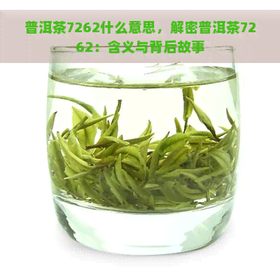 普洱茶7262什么意思，解密普洱茶7262：含义与背后故事