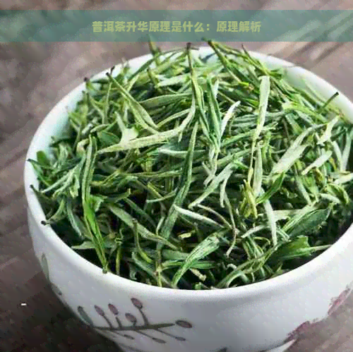 普洱茶升华原理是什么：原理解析