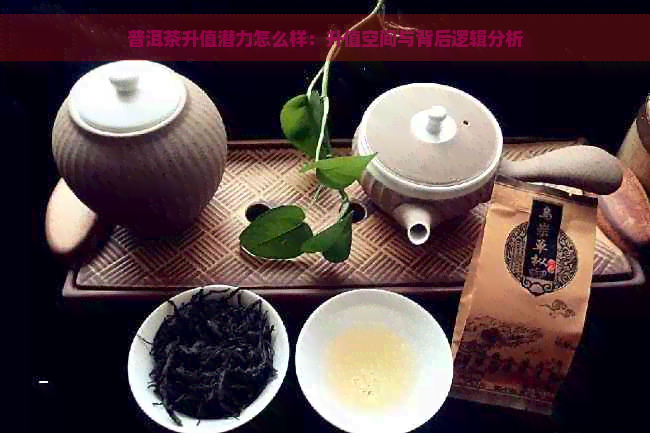 普洱茶升值潜力怎么样：升值空间与背后逻辑分析