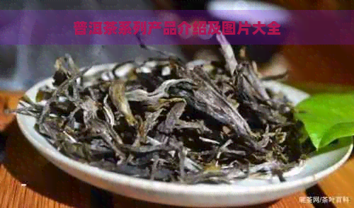 普洱茶系列产品介绍及图片大全