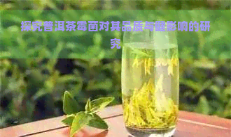 探究普洱茶霉菌对其品质与健影响的研究