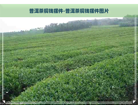 普洱茶铜钱摆件-普洱茶铜钱摆件图片