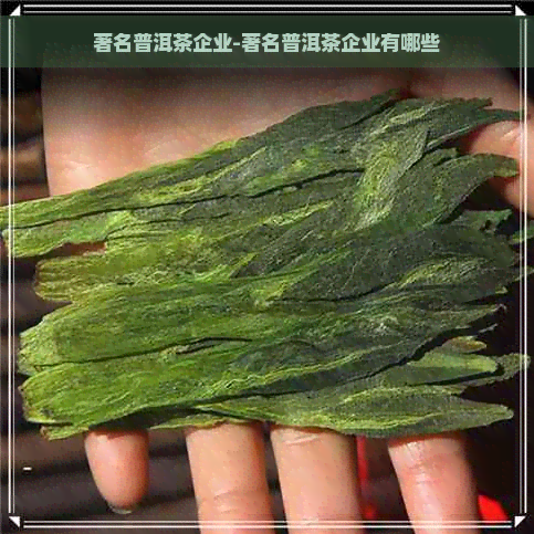 著名普洱茶企业-著名普洱茶企业有哪些