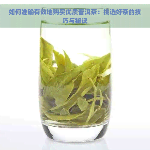 如何准确有效地购买优质普洱茶：挑选好茶的技巧与秘诀