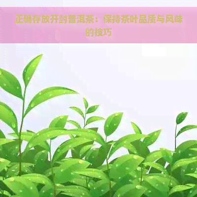 正确存放开封普洱茶：保持茶叶品质与风味的技巧