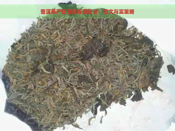 普洱茶产区整治方案设计：范文与实策略