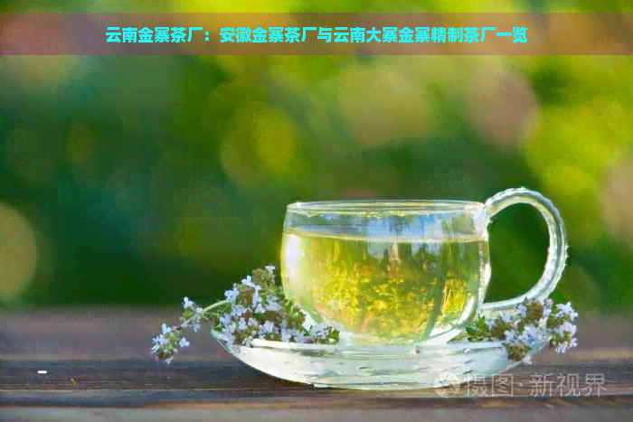 云南金寨茶厂：安徽金寨茶厂与云南大寨金寨精制茶厂一览