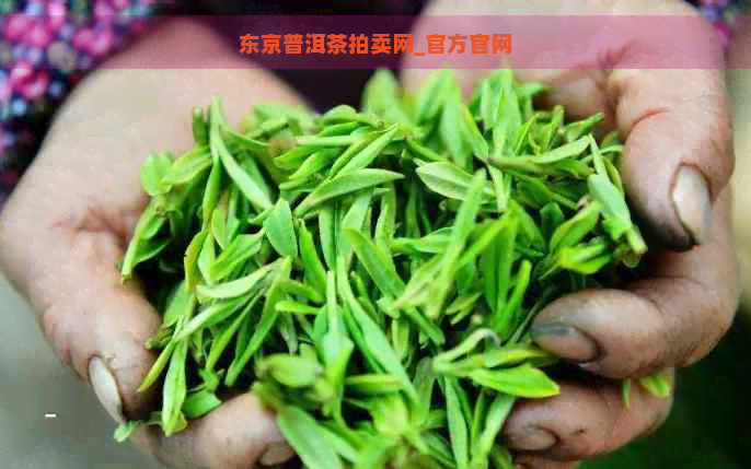 东京普洱茶拍卖网_官方官网