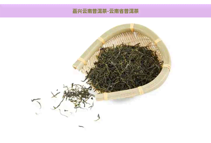 嘉兴云南普洱茶-云南省普洱茶