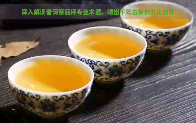 深入解读普洱茶品评专业术语，喝出千年古茶的文化韵味