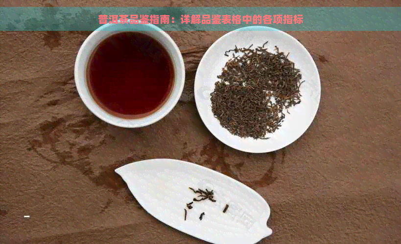 普洱茶品鉴指南：详解品鉴表格中的各项指标