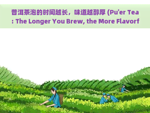 普洱茶泡的时间越长，味道越醇厚 (Pu'er Tea: The Longer You Brew, the More Flavorful)