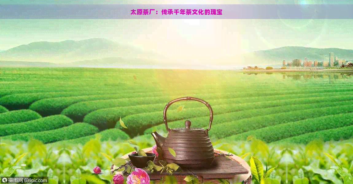 太原茶厂：传承千年茶文化的瑰宝