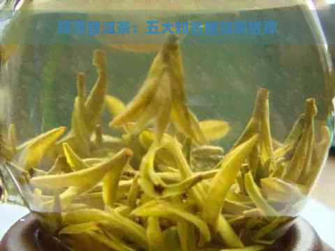 探寻普洱茶：五大知名普洱茶推荐