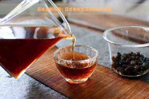 品味古树风韵：日式老树普洱茶的迷人画面