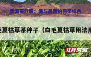 普洱茶分装：保与品质的完美结合