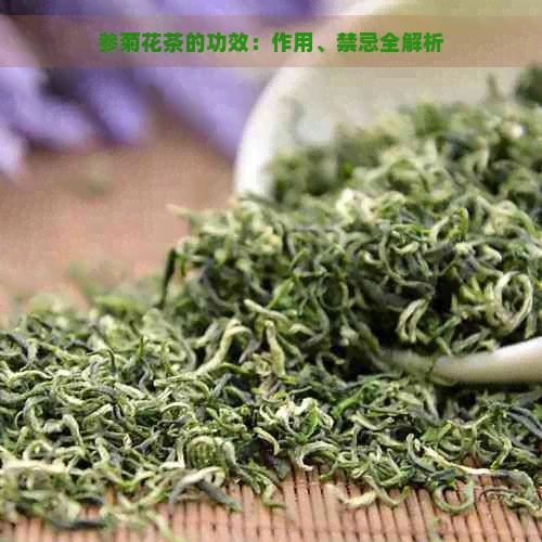 参菊花茶的功效：作用、禁忌全解析