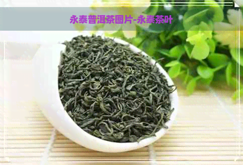 永泰普洱茶图片-永泰茶叶