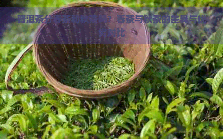 普洱茶分春茶和秋茶吗？春茶与秋茶的差异与优劣对比