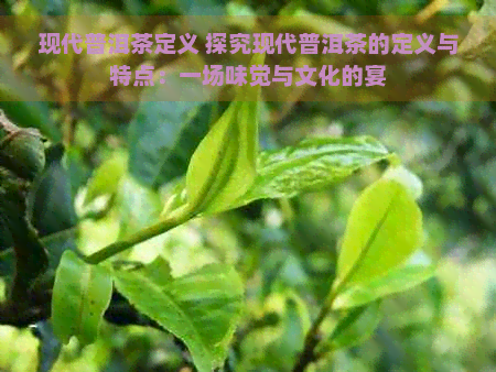 现代普洱茶定义 探究现代普洱茶的定义与特点：一场味觉与文化的宴