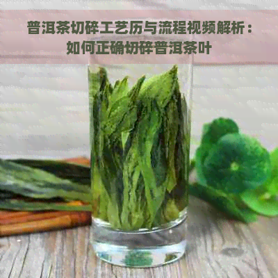 普洱茶切碎工艺历与流程视频解析：如何正确切碎普洱茶叶