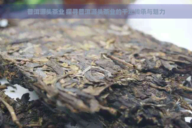 普洱源头茶业 探寻普洱源头茶业的千年传承与魅力