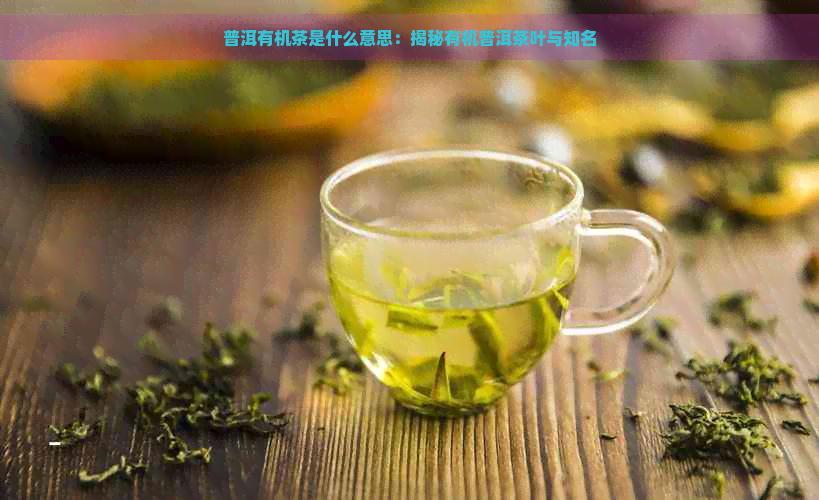 普洱有机茶是什么意思：揭秘有机普洱茶叶与知名