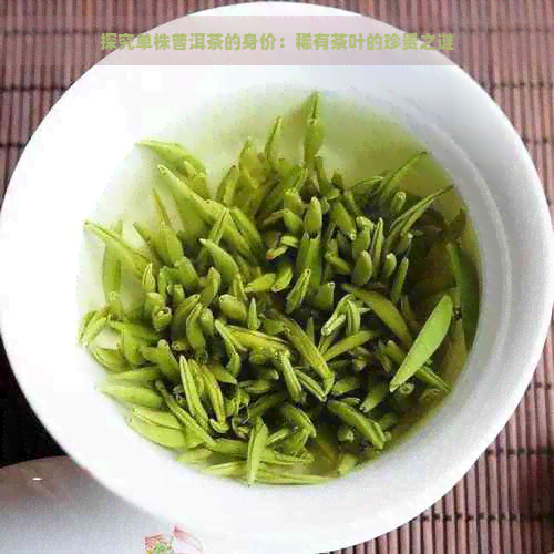 探究单株普洱茶的身价：稀有茶叶的珍贵之谜