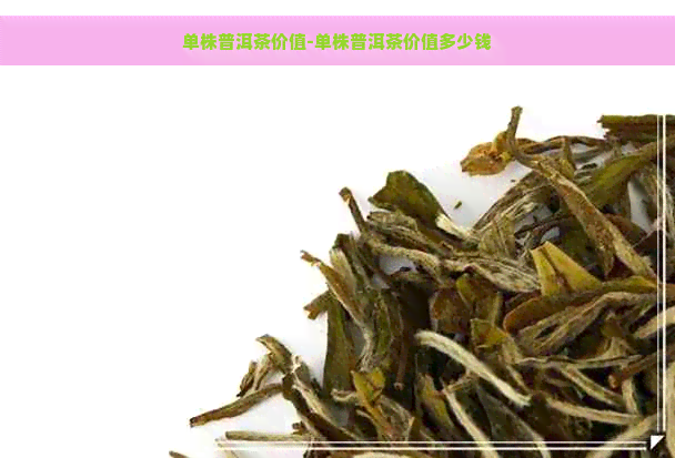 单株普洱茶价值-单株普洱茶价值多少钱