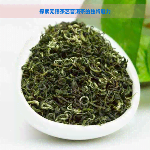 探索无锡茶艺普洱茶的独特魅力