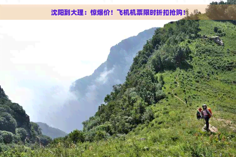 沈阳到大理：惊爆价！飞机机票限时折扣抢购！