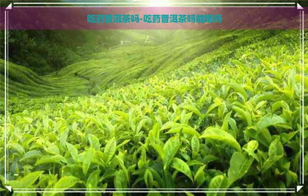 吃药普洱茶吗-吃药普洱茶吗能喝吗