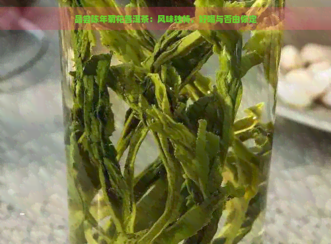 品尝陈年菊花普洱茶：风味独特，好喝与否由你定