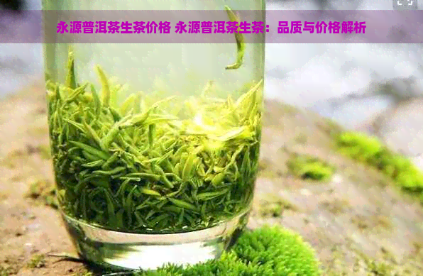 永源普洱茶生茶价格 永源普洱茶生茶：品质与价格解析