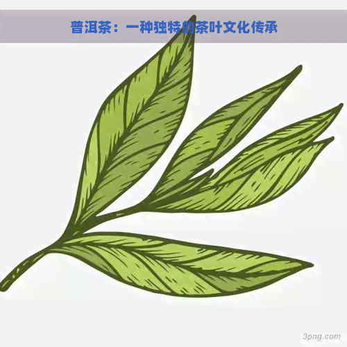 普洱茶：一种独特的茶叶文化传承