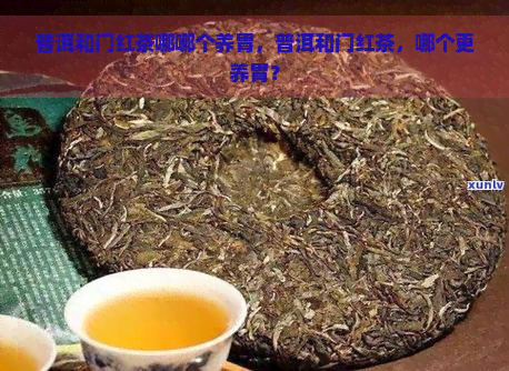 普洱和门红茶哪哪个养胃，普洱和门红茶，哪个更养胃？
