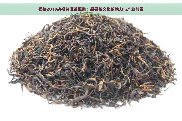 揭秘2019央视普洱茶报道：探寻茶文化的魅力与产业前景