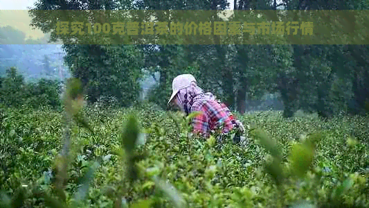 探究100克普洱茶的价格因素与市场行情