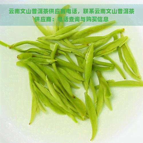 云南文山普洱茶供应商电话，联系云南文山普洱茶供应商：电话查询与购买信息