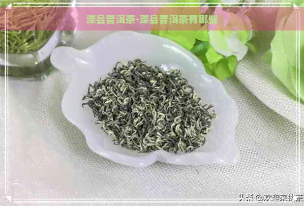 滦县普洱茶-滦县普洱茶有哪些