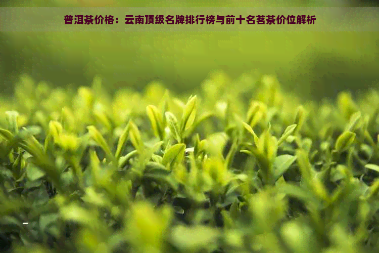 普洱茶价格：云南顶级名牌排行榜与前十名茗茶价位解析