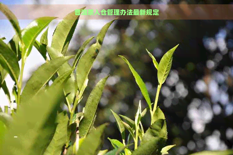 普洱茶入仓管理办法最新规定